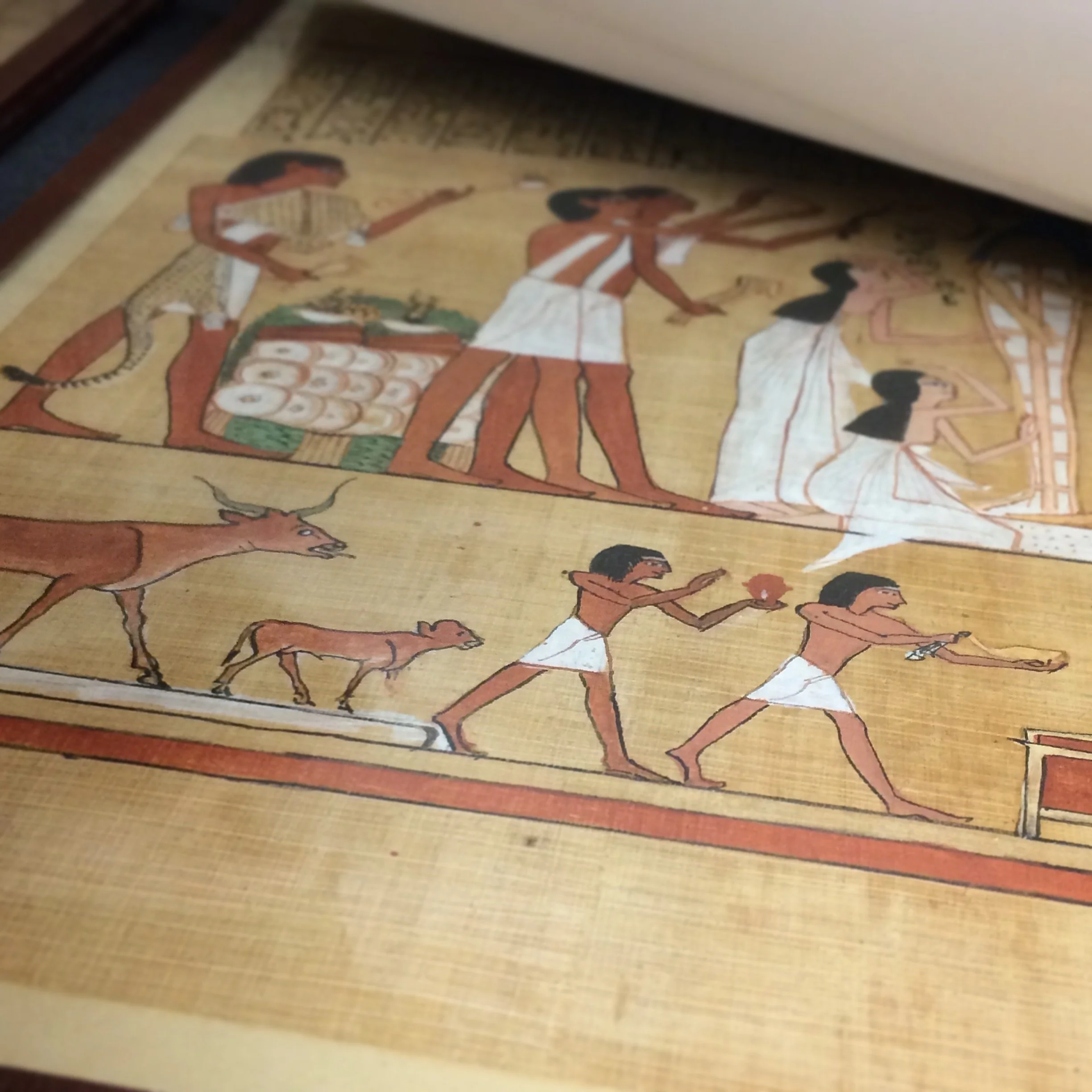 Ancient Egyptian Beer 