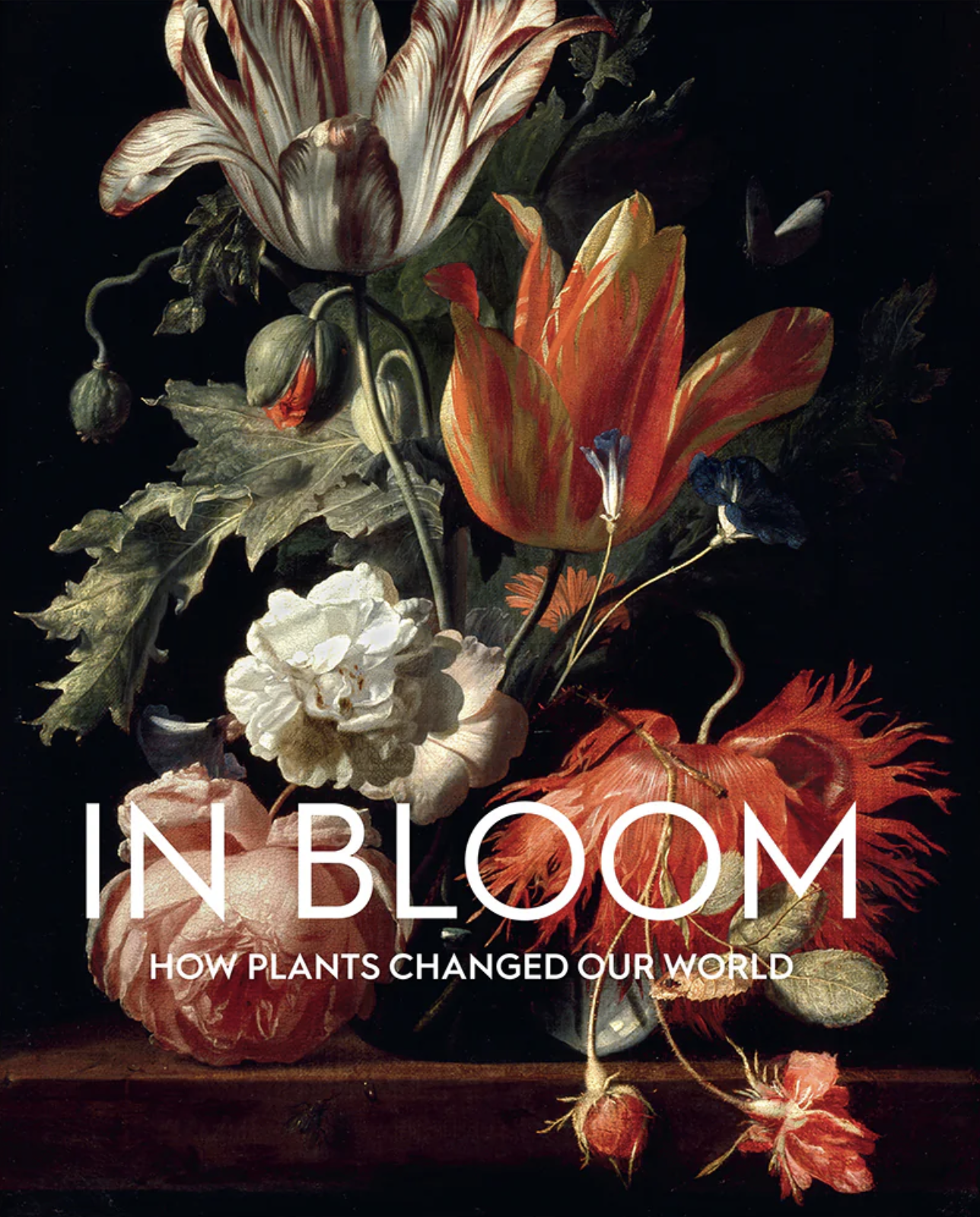 In Bloom