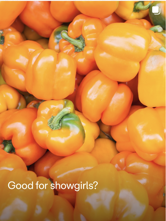 Screenshot 2025-12-12 at 12.19.49 PM.png