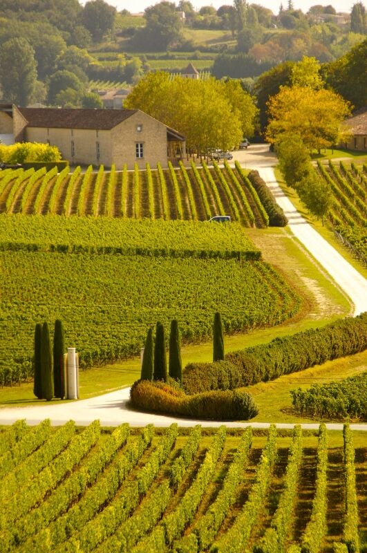 Provence (image from )