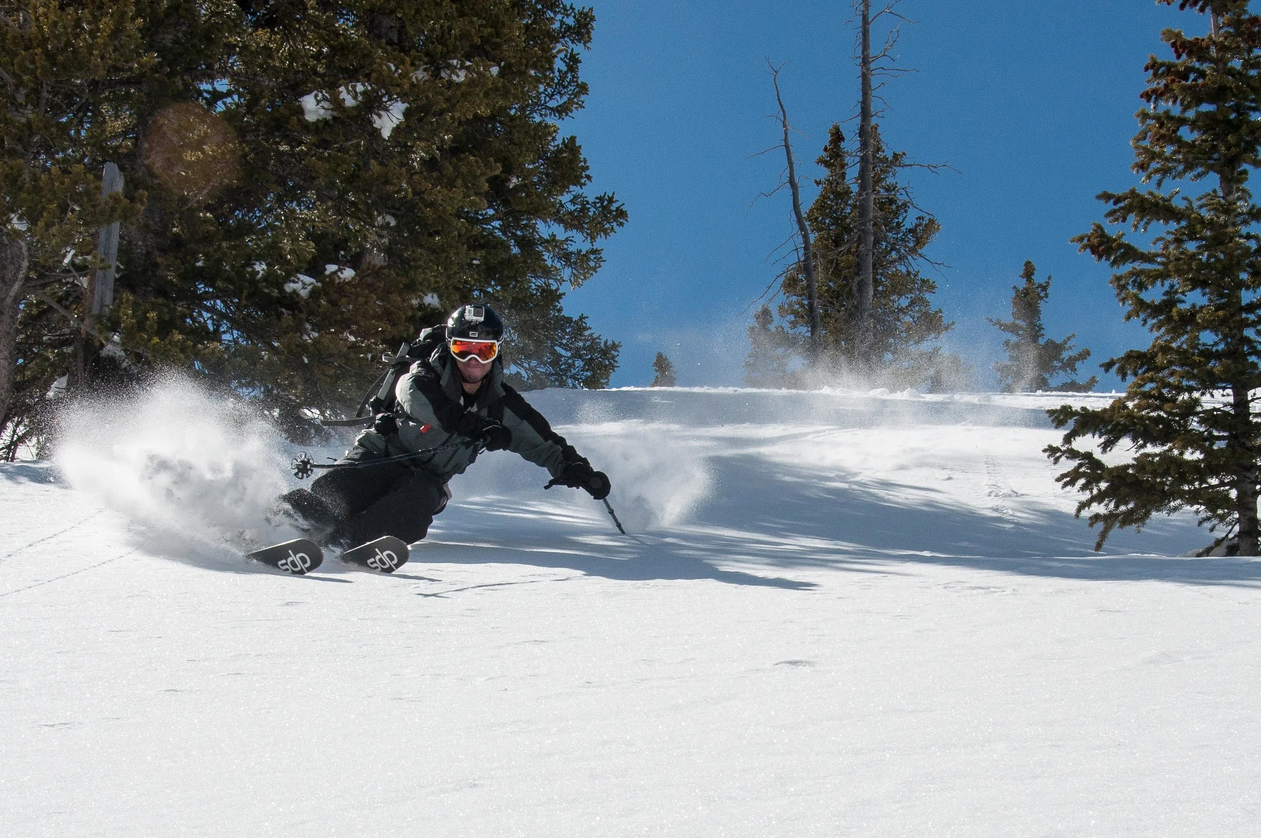 Monarch Pass Fresh
