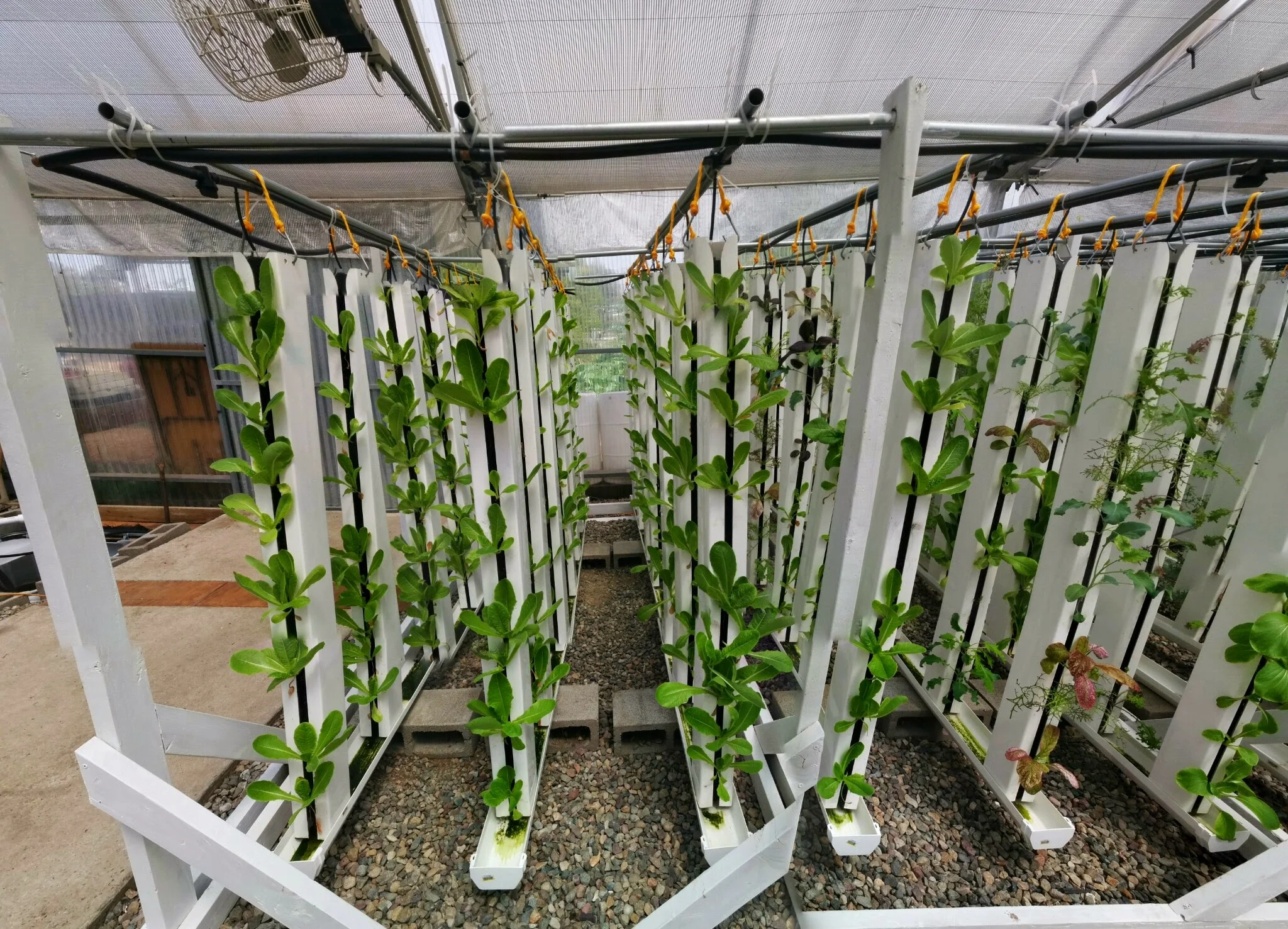 PANO_20150505_113400.jpg