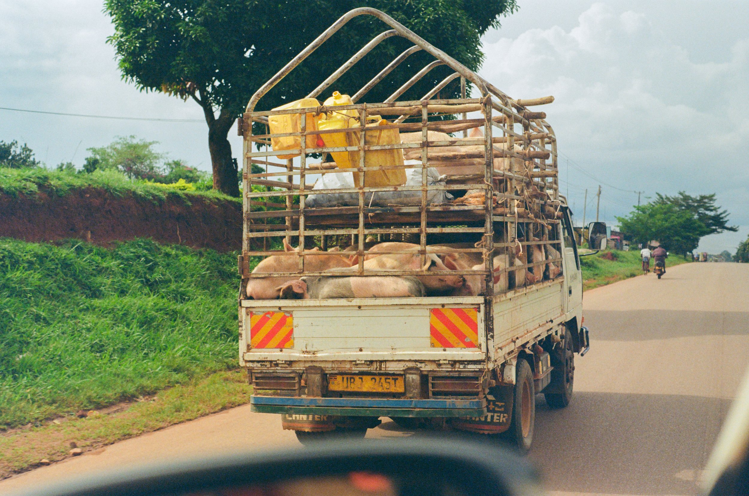 Hog truck on the Entebbe Highway. Fuji 200 35mm. 