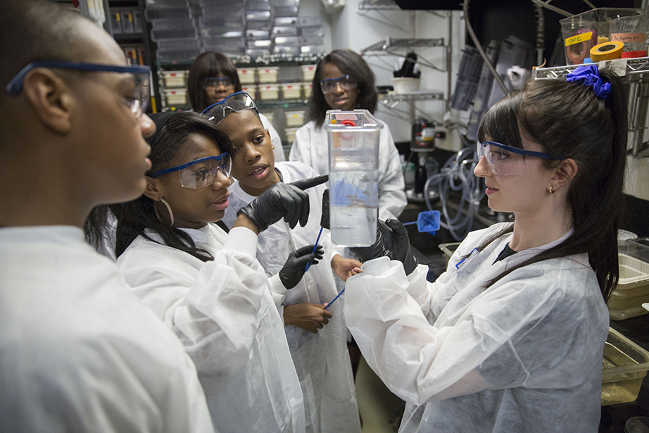 Students from Brooklyn visit the lab