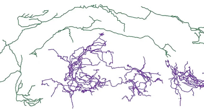 Publication in Development