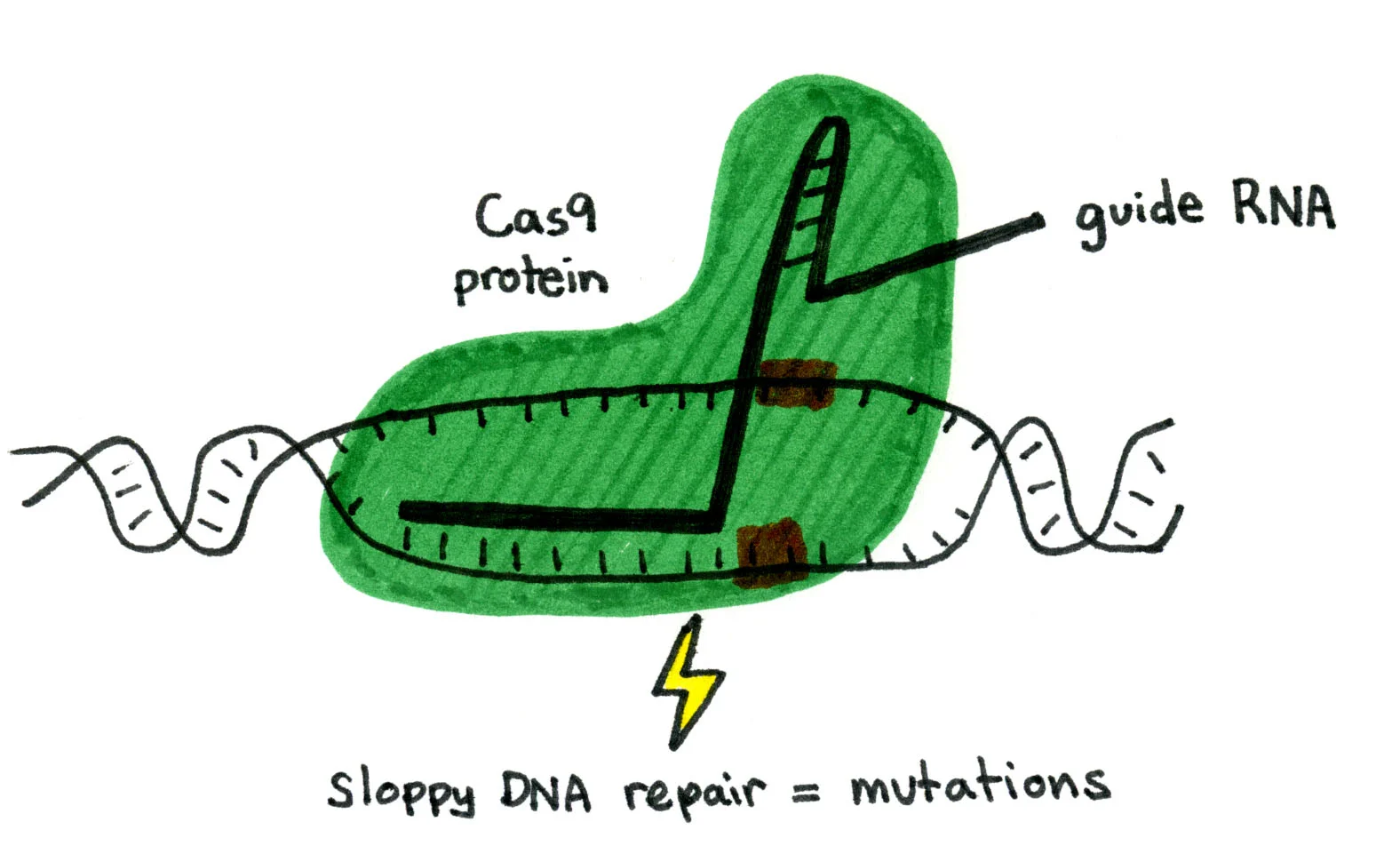 Publication in PLOS One