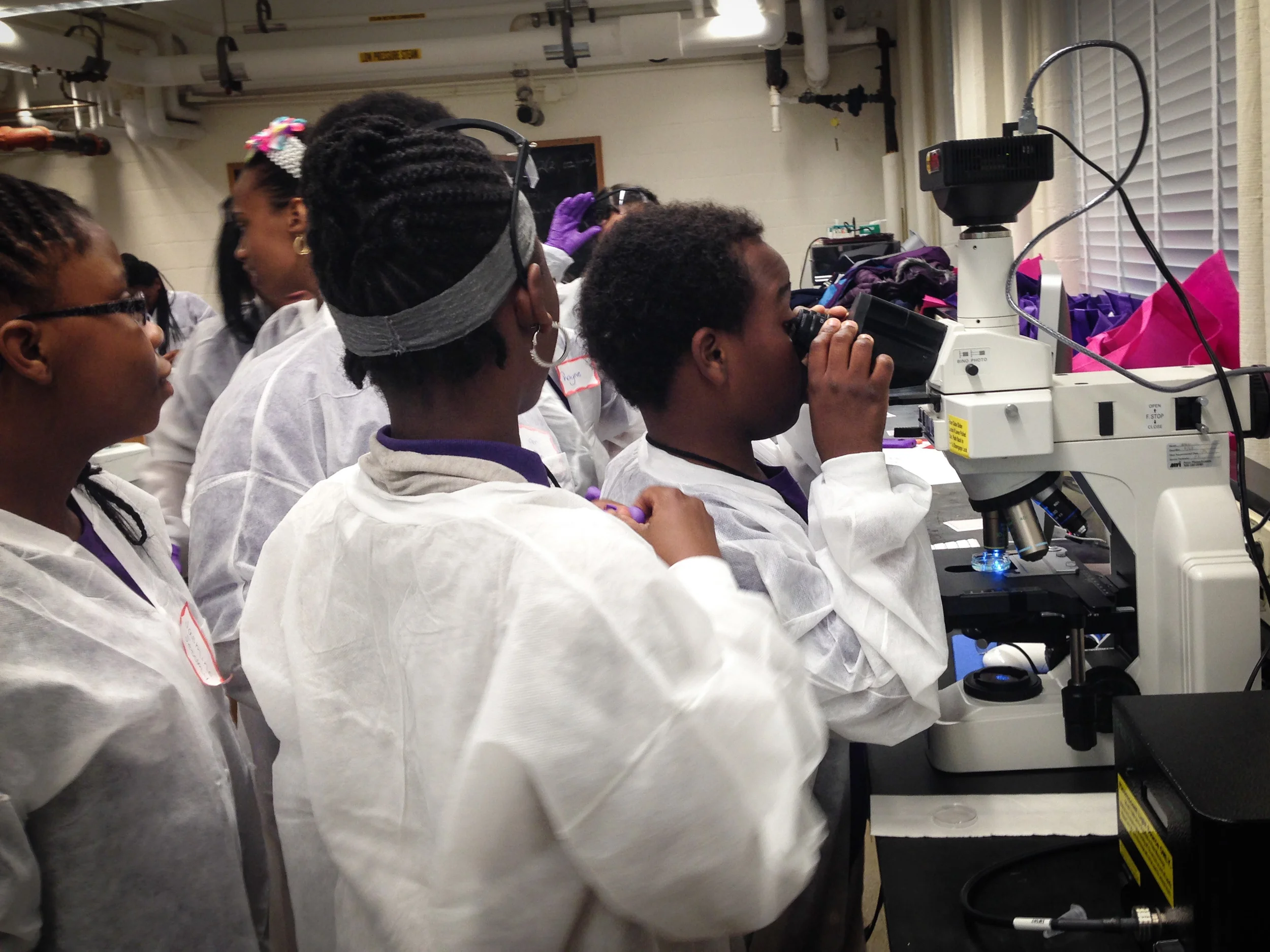 Middle school students from Brooklyn visit the Schier lab