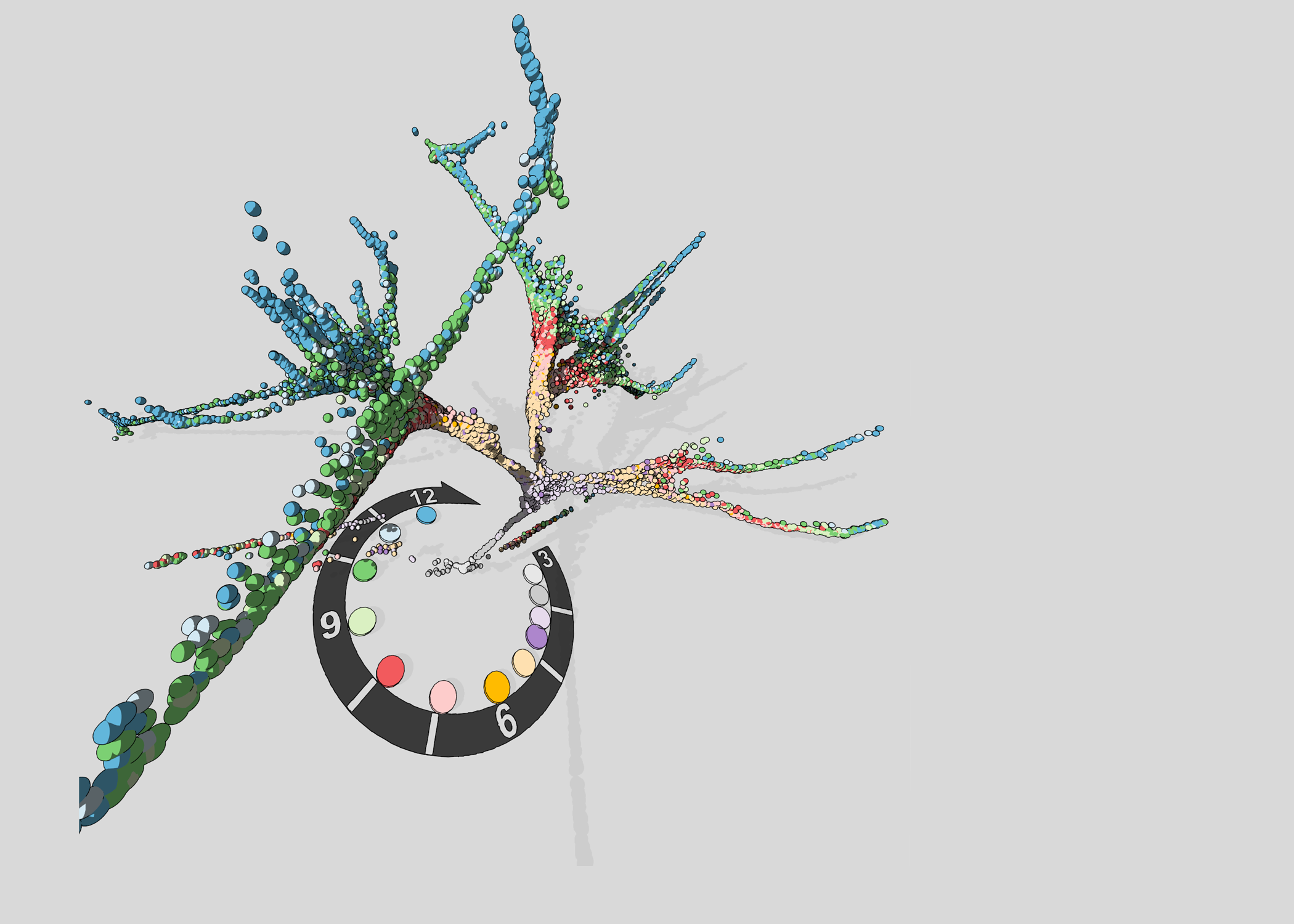 tree_18_w.png