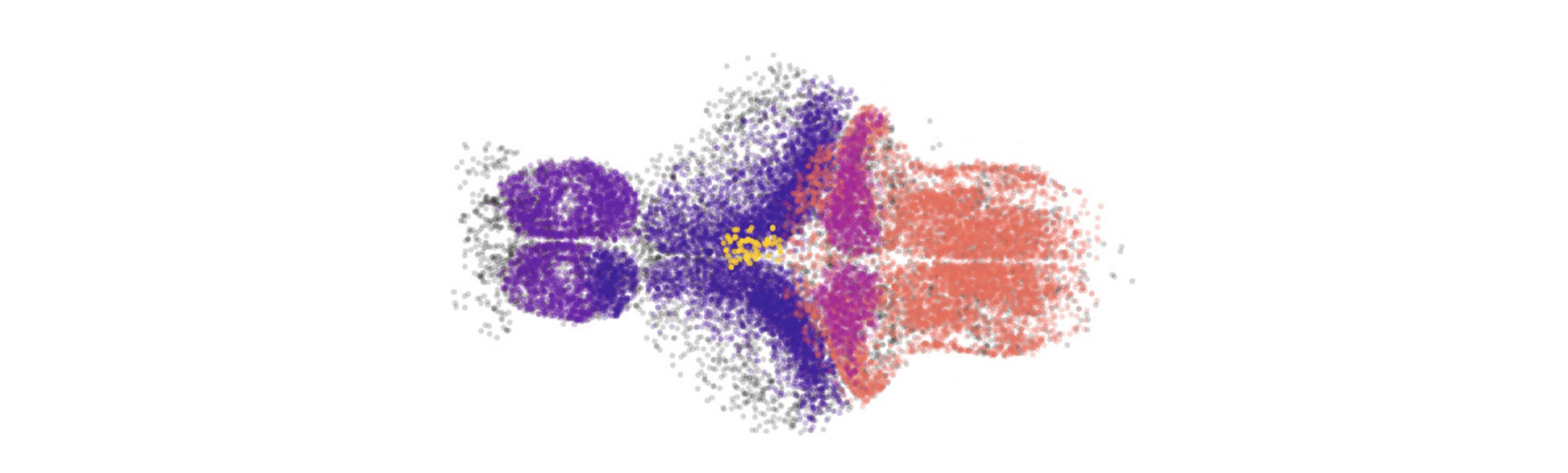 Martin's paper published in Neuron