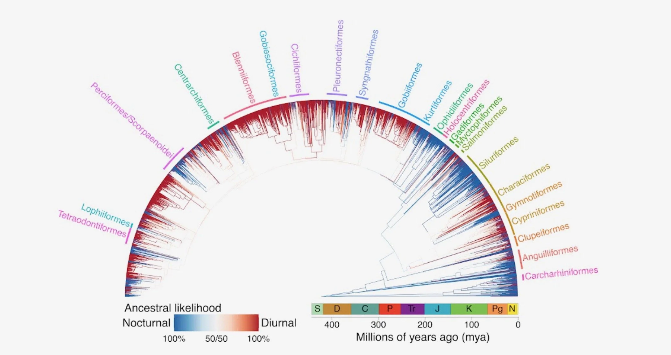 Congratulations to Max and co-authors on their new BioRxiv paper on the evolution of day-night activty!