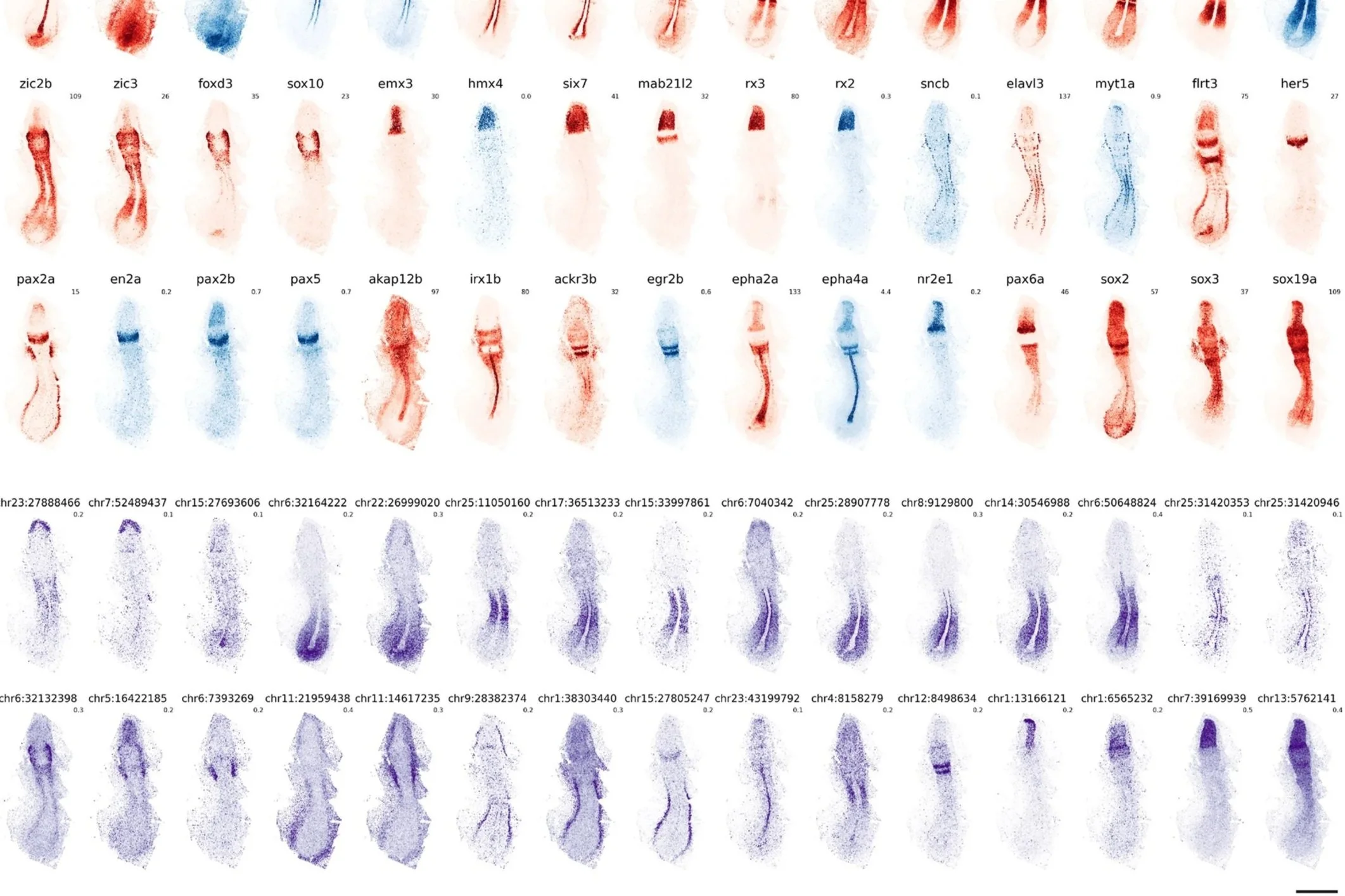 Congratulations to Yinan and the team for their paper on embryogenesis in 4D!