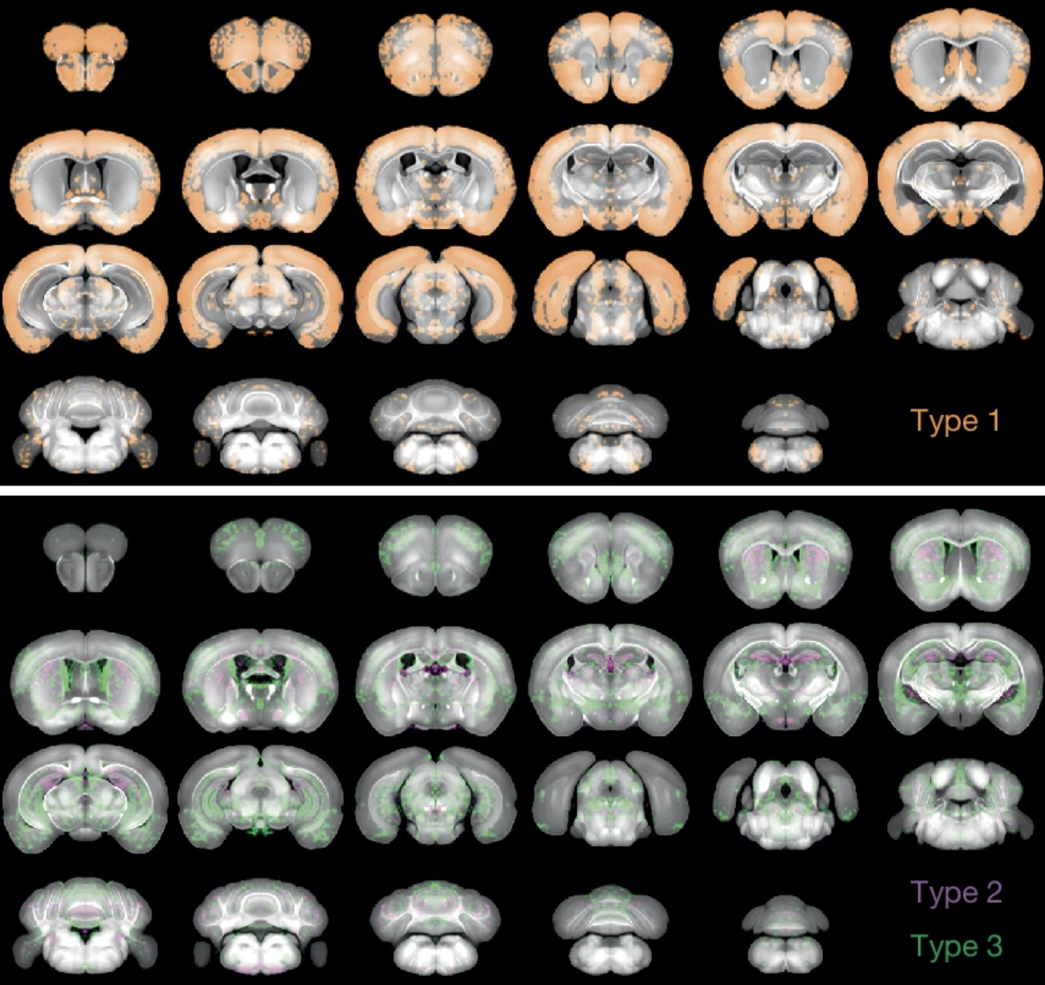 Congratulations to Will, Clare, Vassilis and the team on their paper on sleep in Nature!