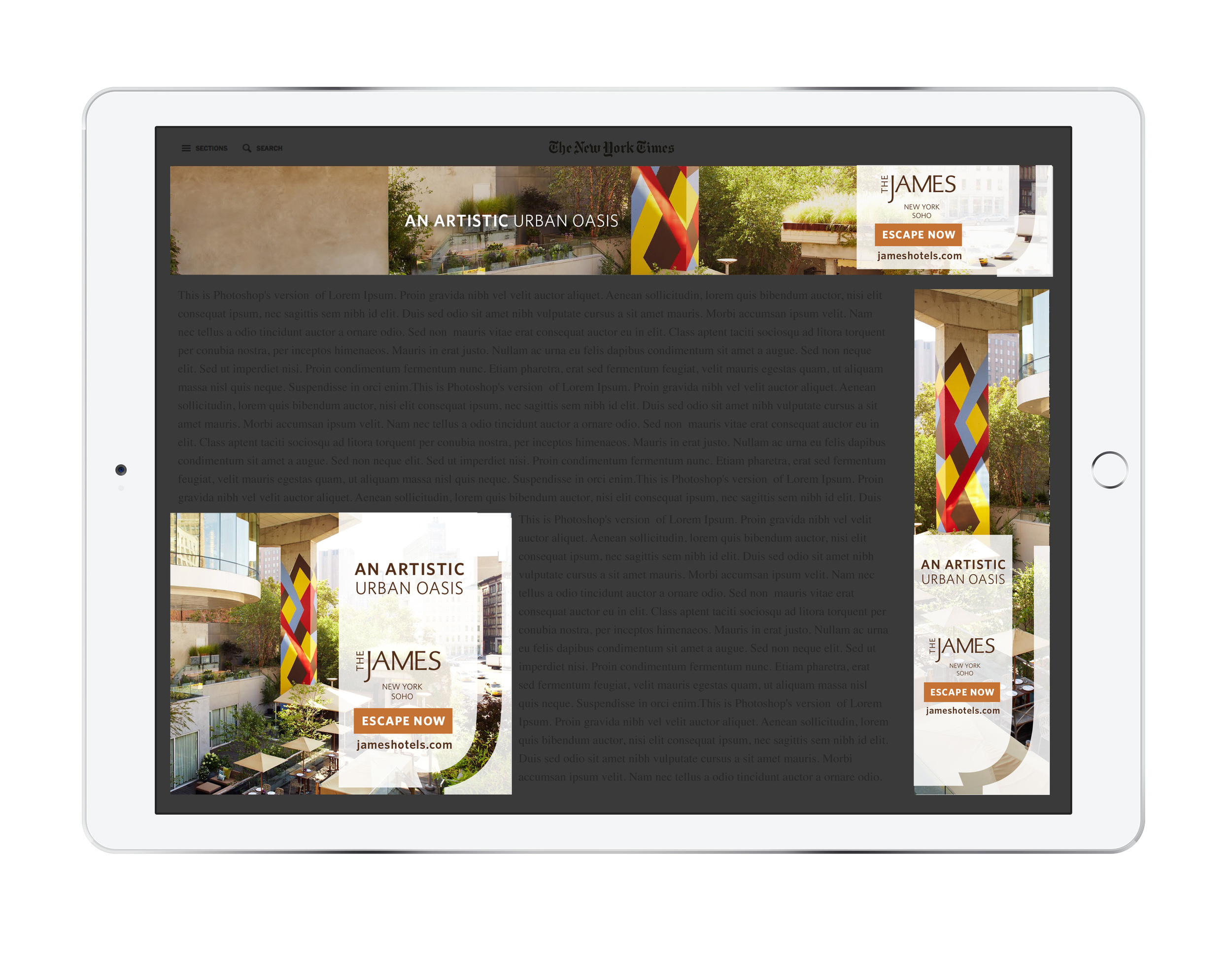 James Banner Template Design