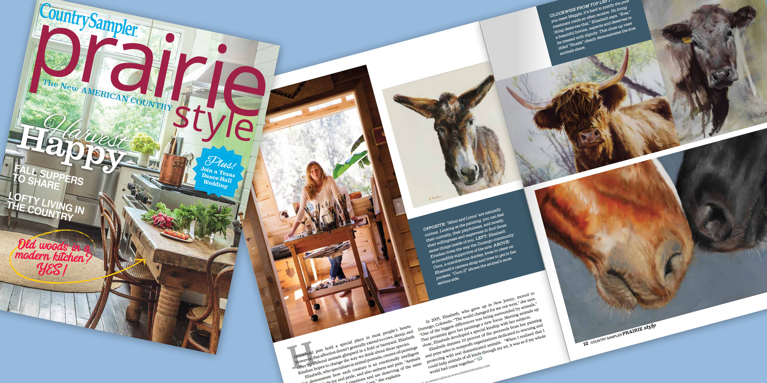 Prairie Style Story