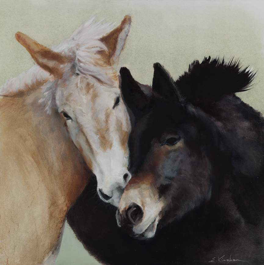 Love in Montezuma County