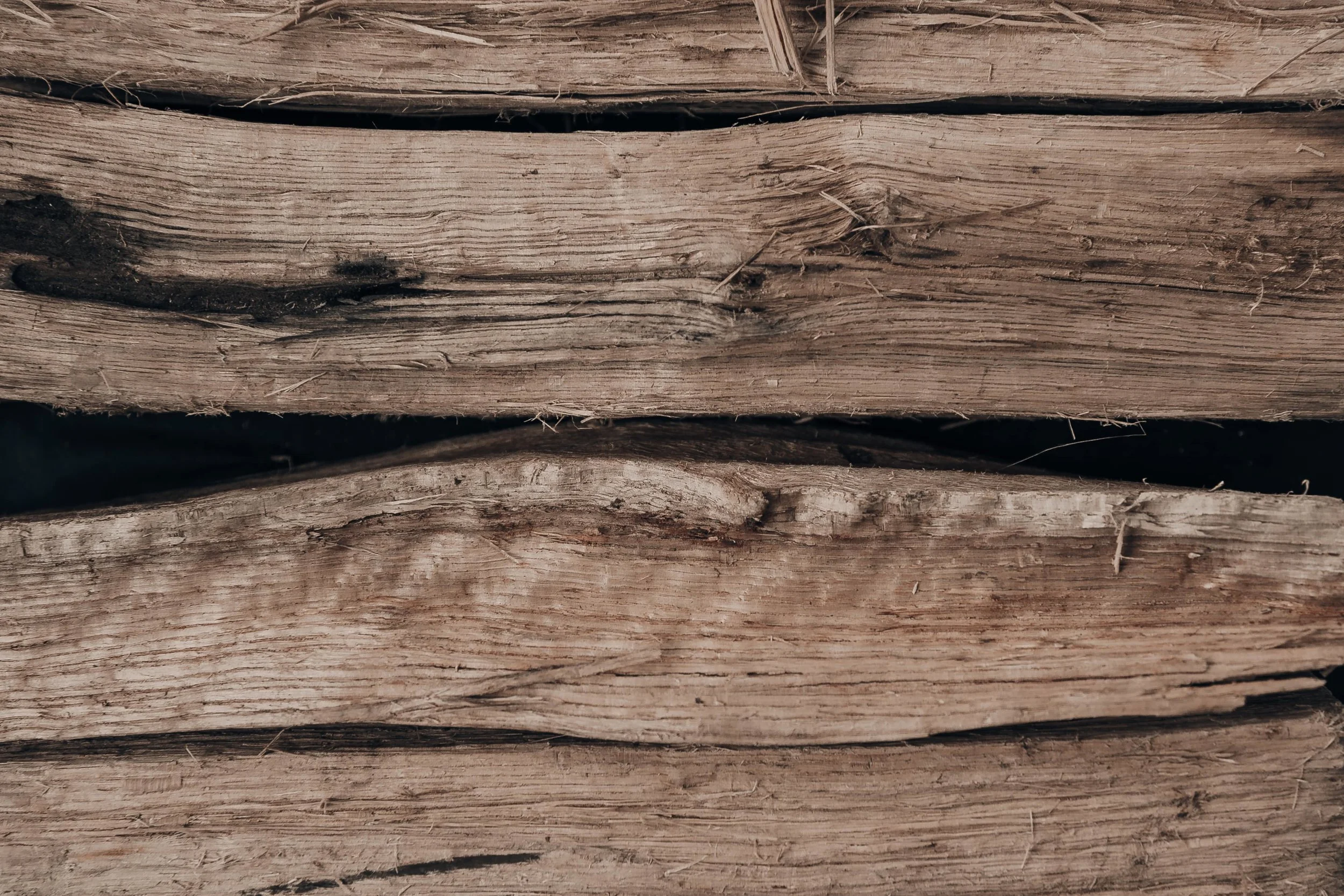 Death_to_Stock_Winter-Texture_10.jpg