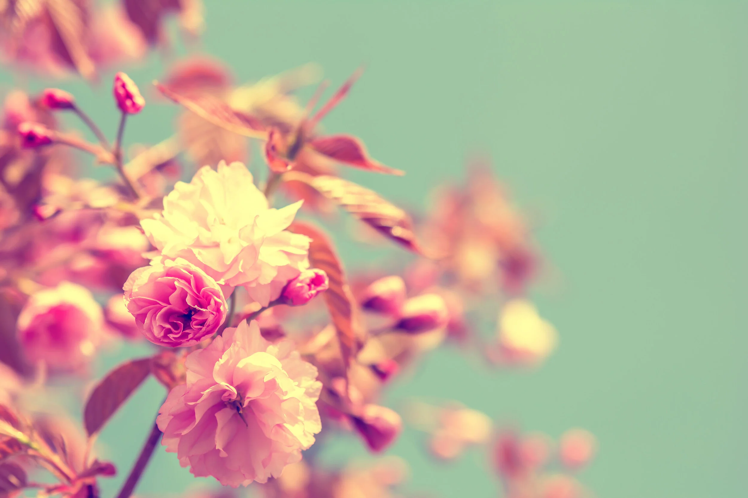 iStock-504257022_edited_1.jpg