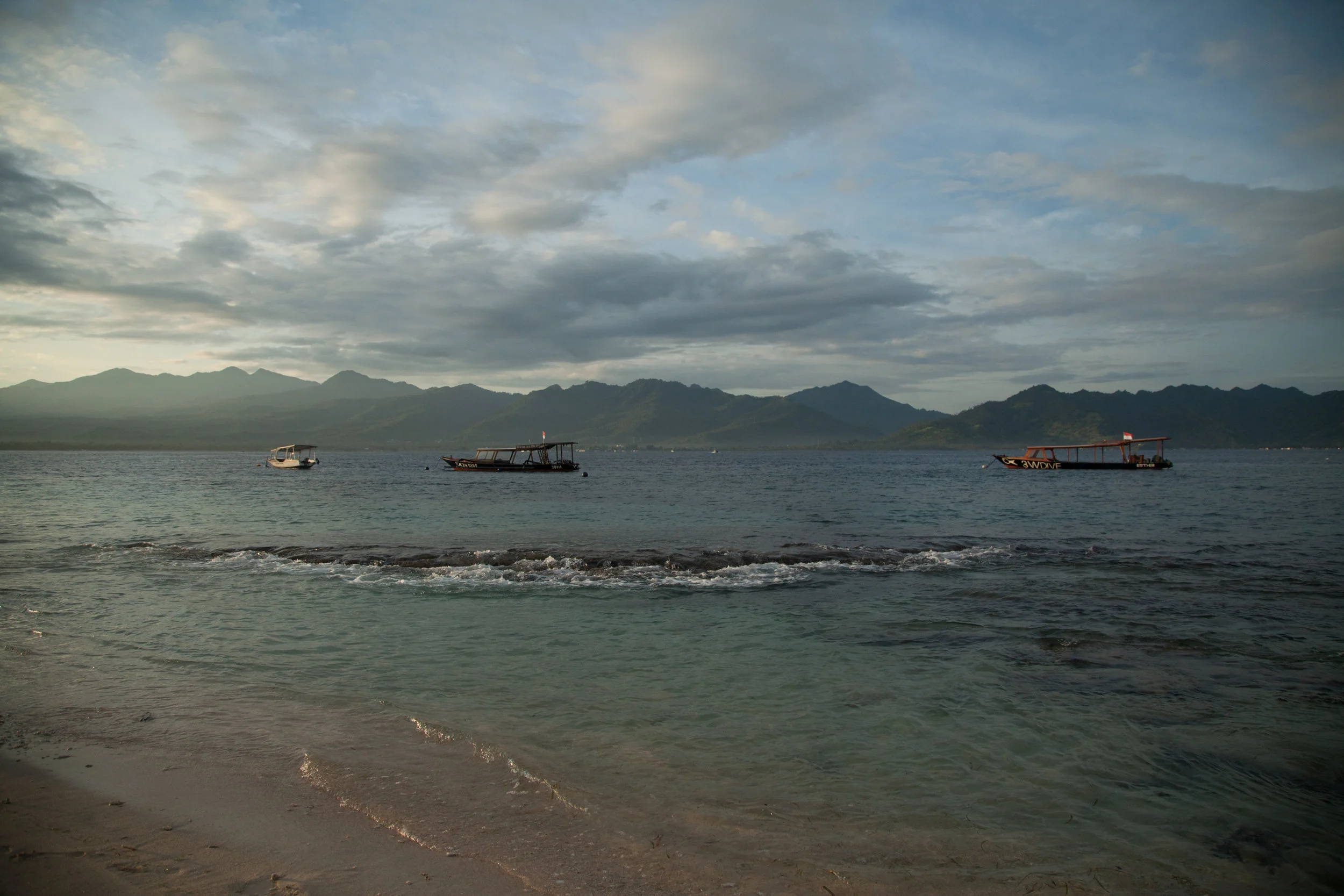 IMG_0397.jpg
