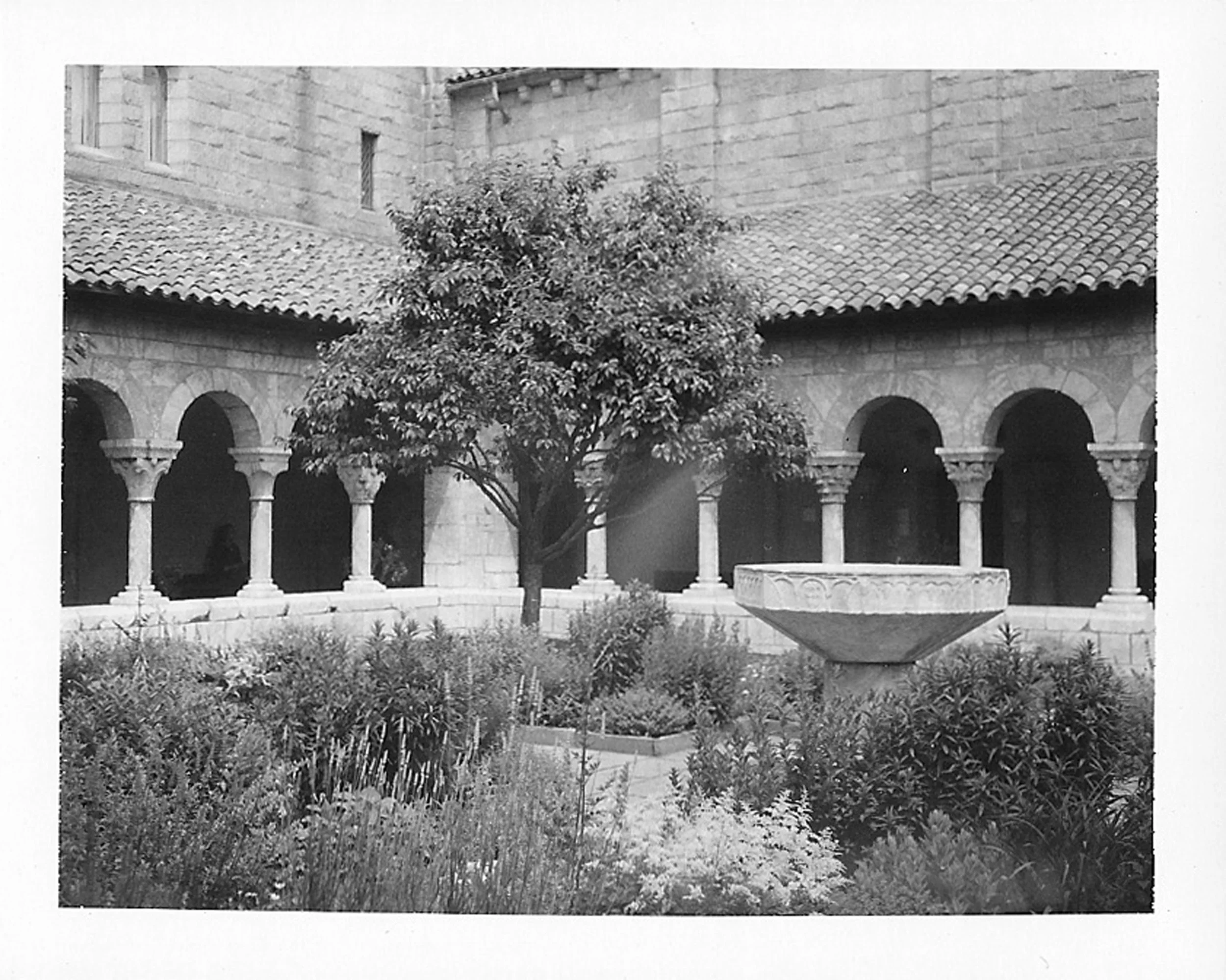cloisters1.jpg