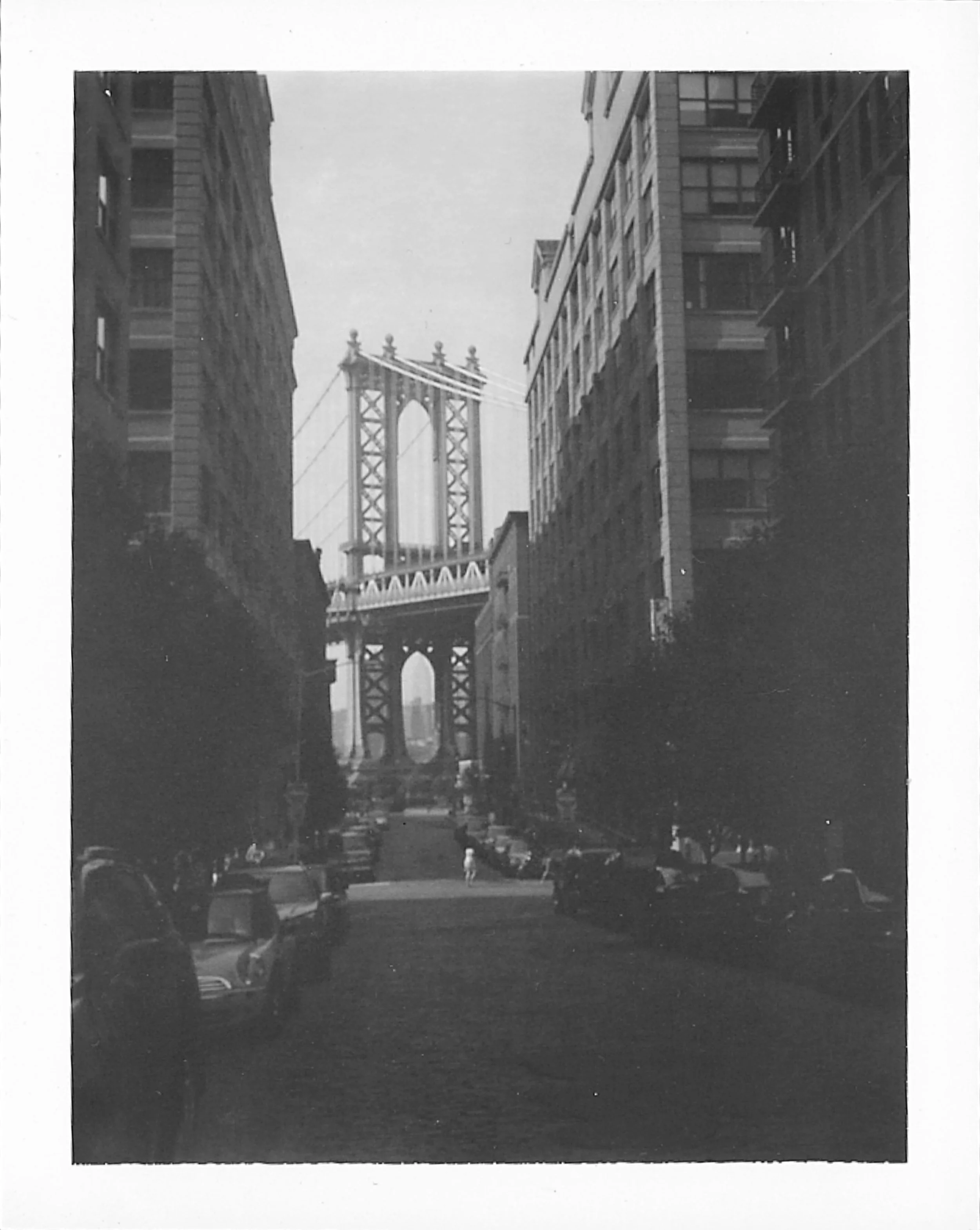 Dumbo3.jpg