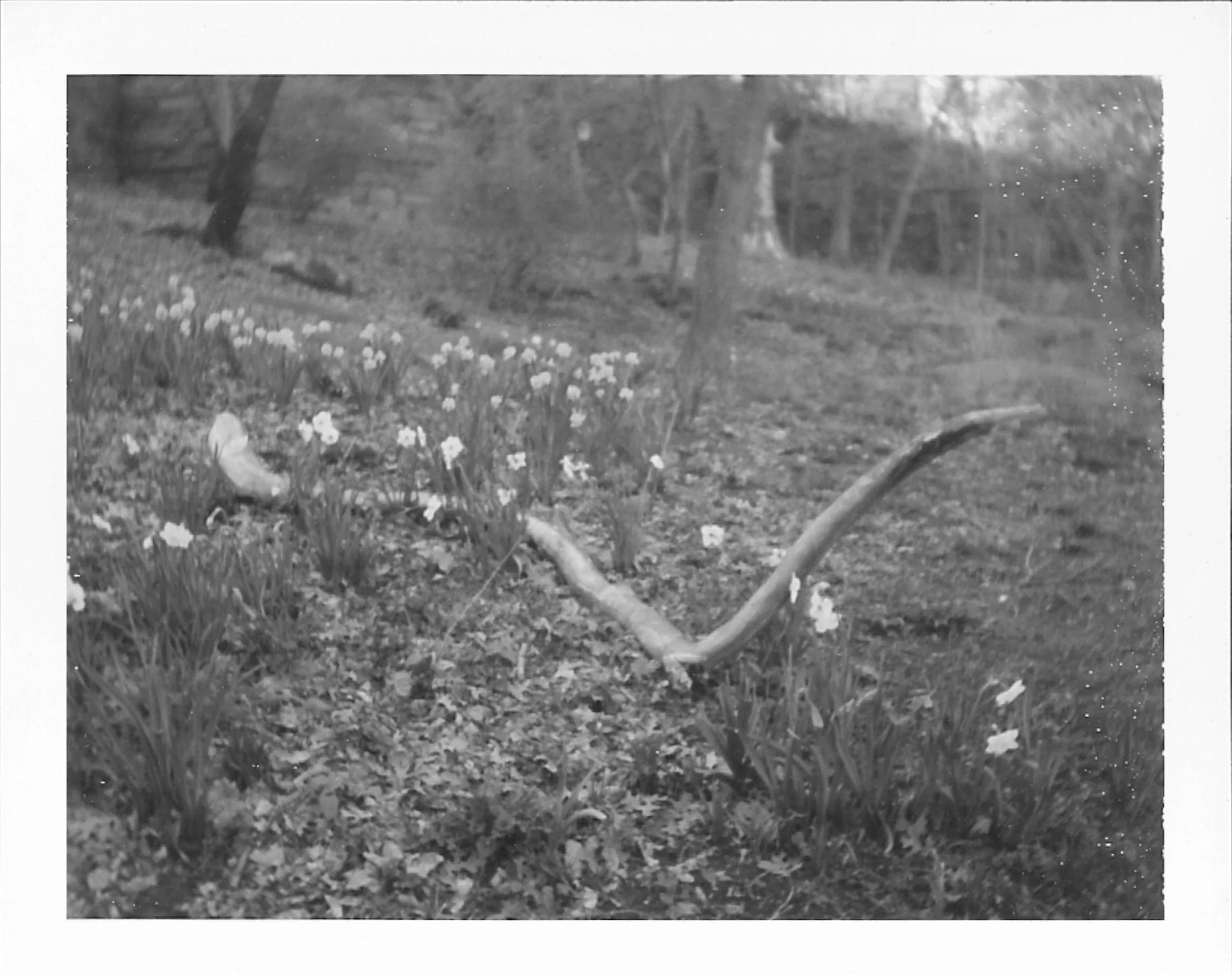 morningsidepark1.jpg