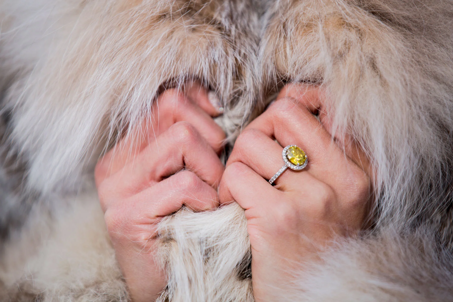141116_TrangLe_CO_0752.jpg
