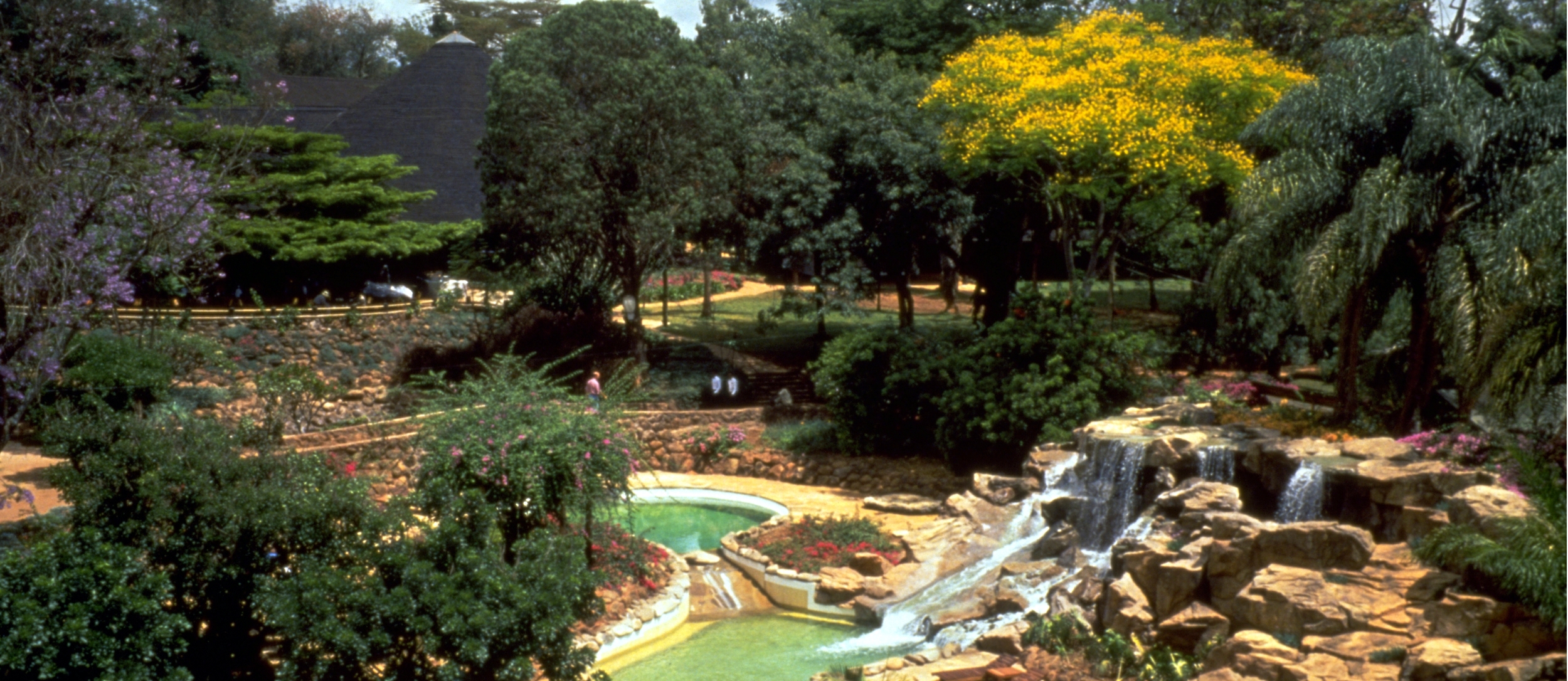 IMG0028 adj large cropped 2.jpg
