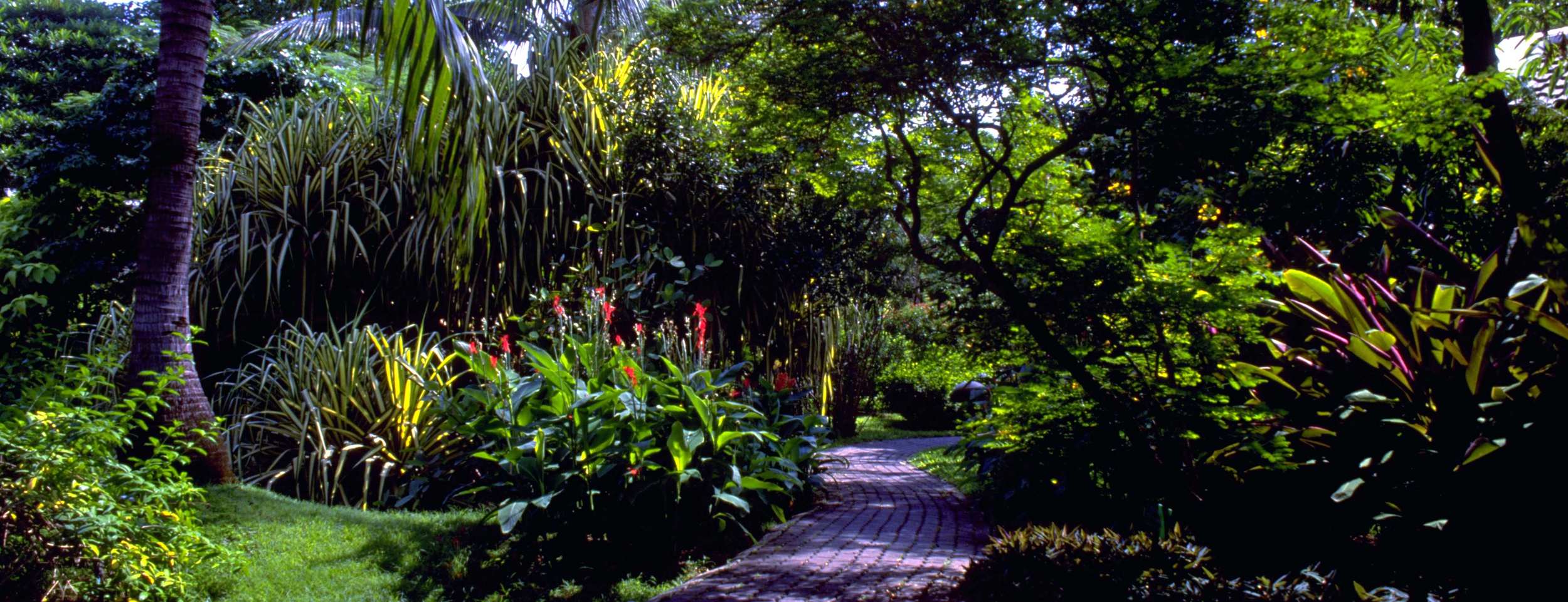 Tropical Garden cropped.JPG