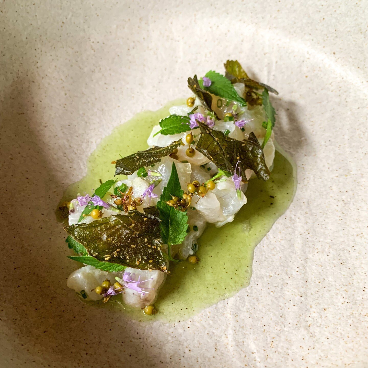 Our Fluke Tartare got a facelift: Fig Leaf Oil. Coriander Capers. Anise Hyssop.