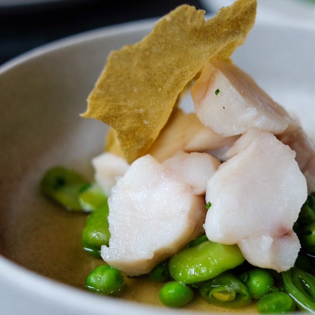 MONKFISH | Spring Shelling Beans. Pork Consomm&eacute;. Sugar Kelp Crisp.