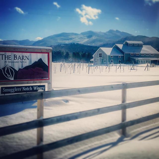 A powdery blue bird day here in VT!
