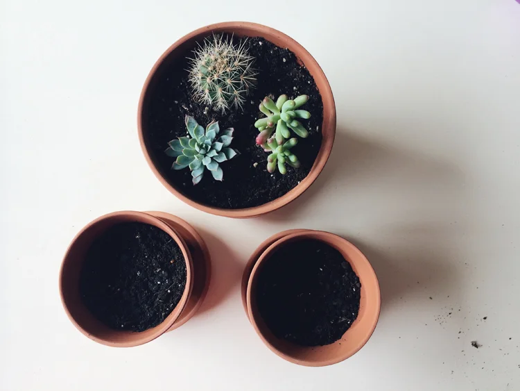 Earth Day
