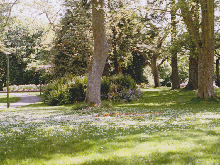 Scan 4 - Version 2