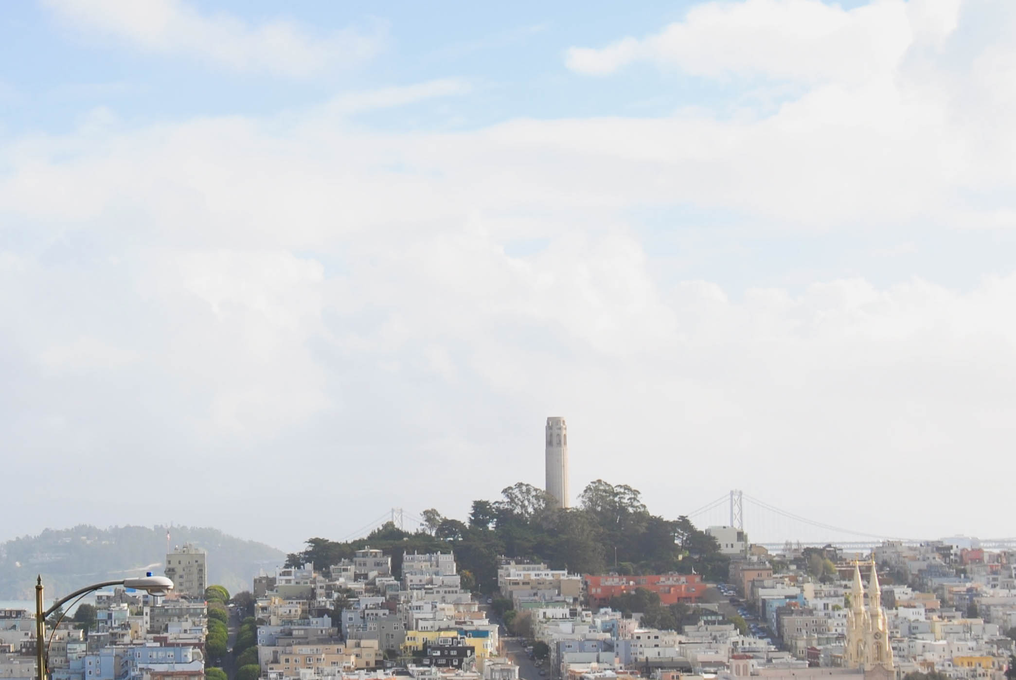 DSC_0387.jpg