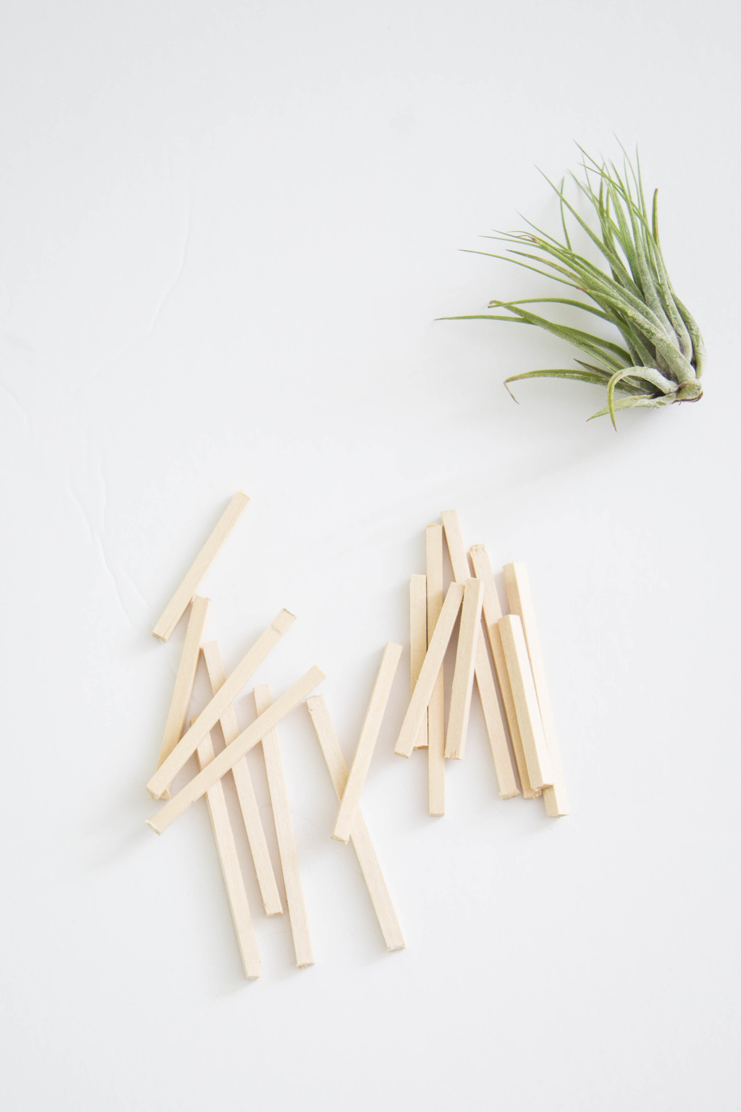 DIY Air Plant Hangers - Homey Oh My