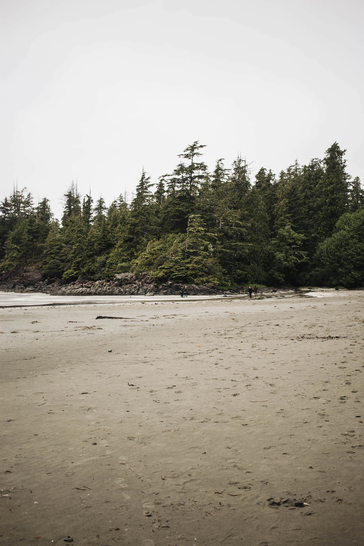 tofino-2018-5 copy.jpg