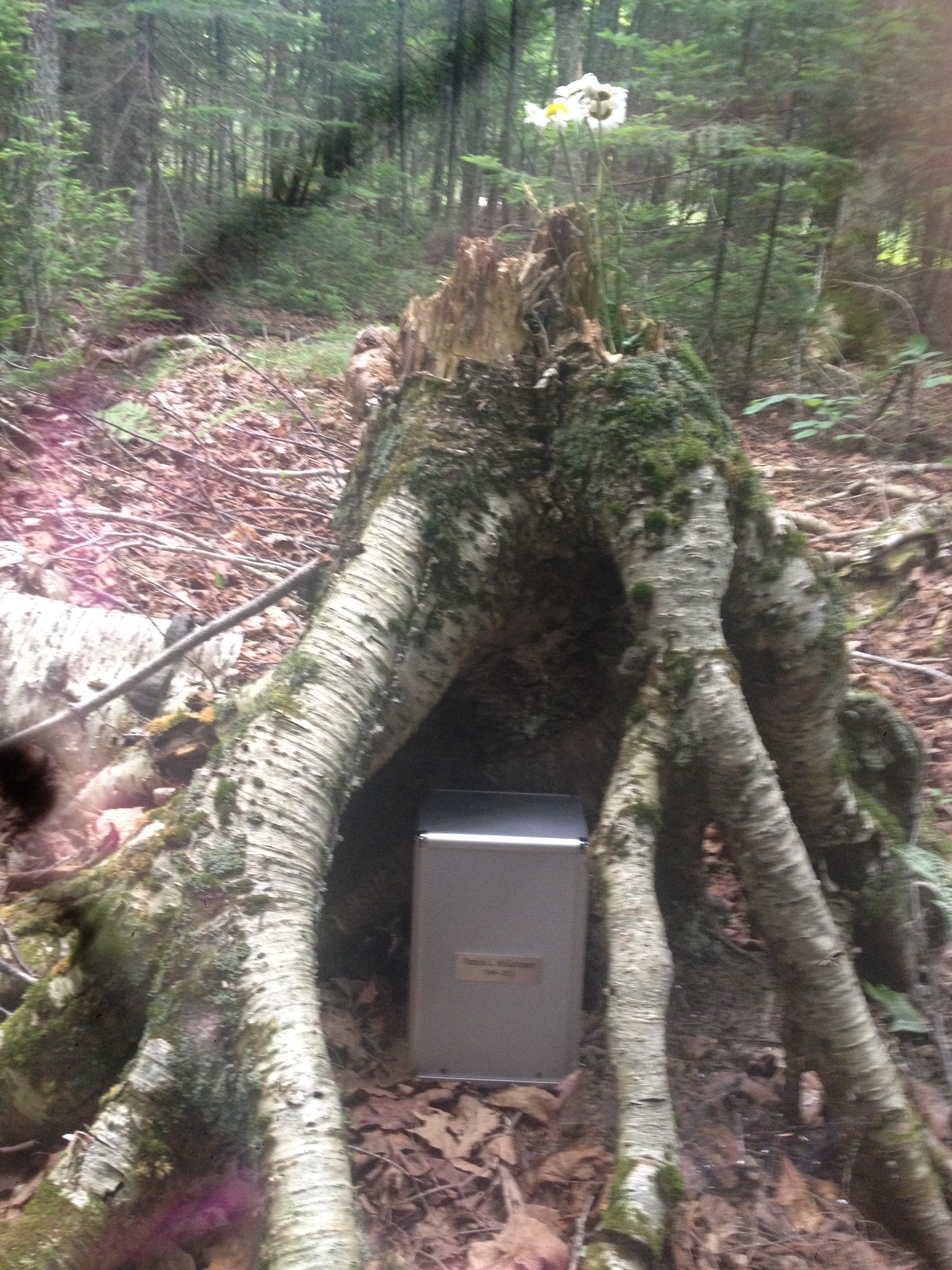 The place where my mothers ashes were scattered. 