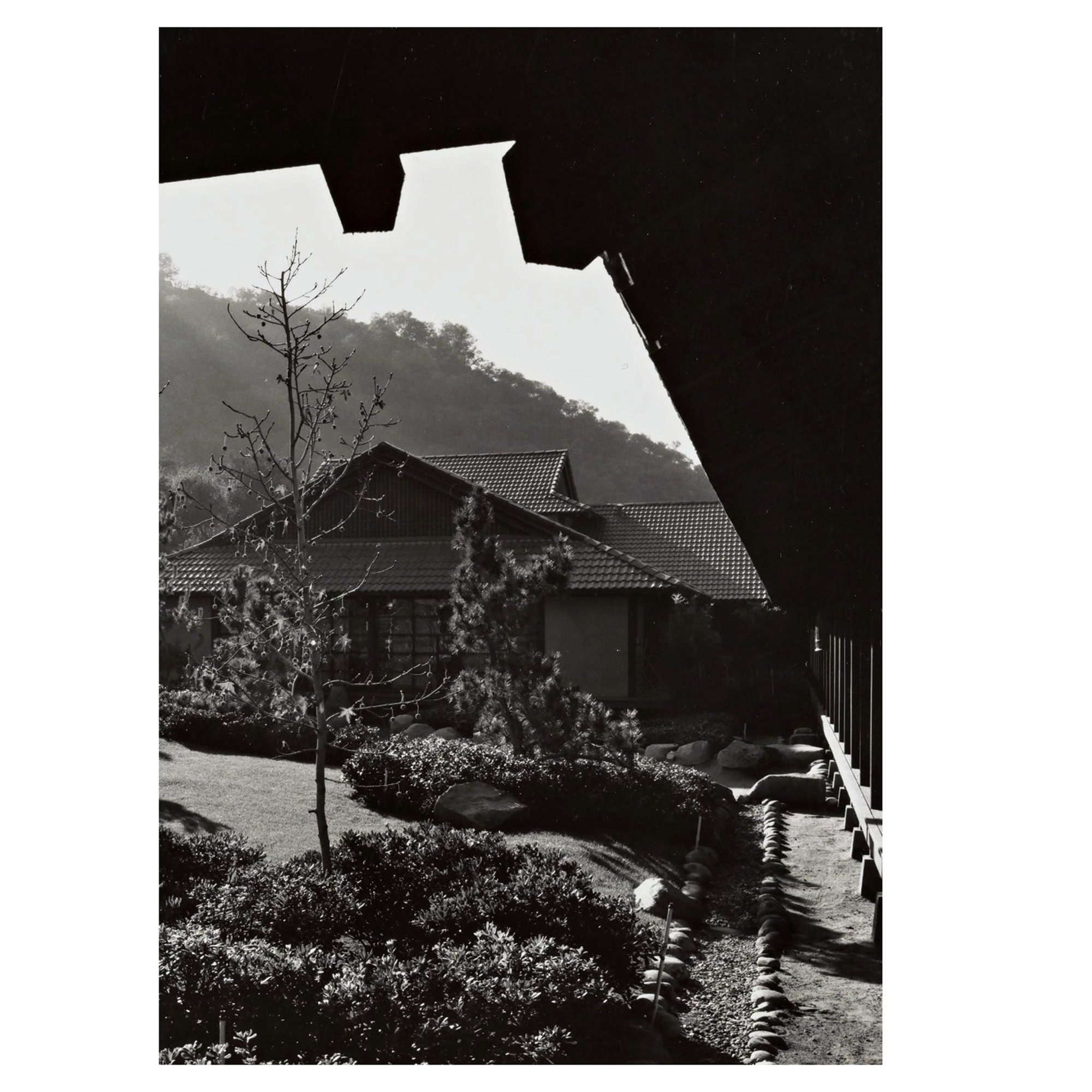 image 4.jpg