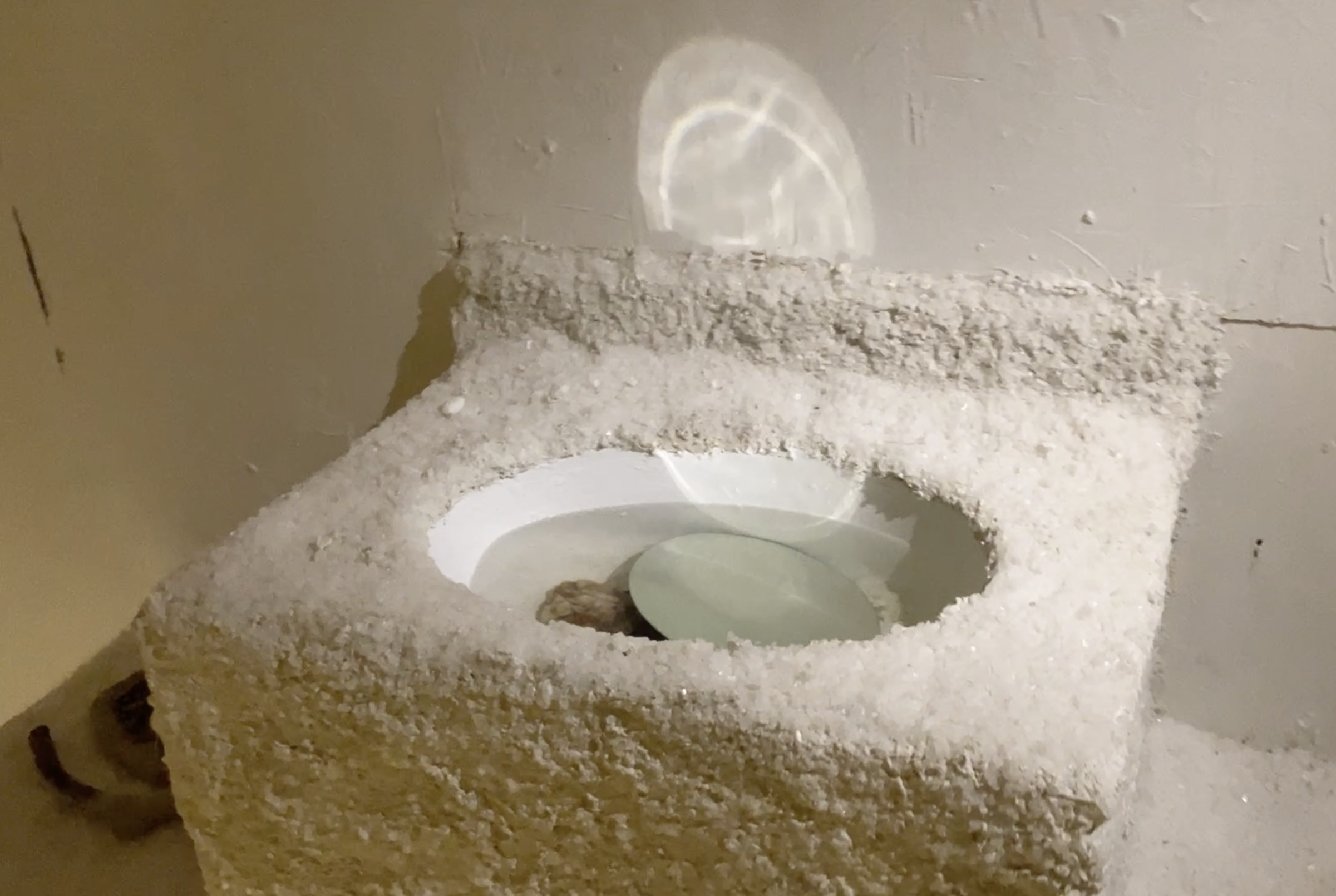 Screenshot 2026-03-24 at 6.53.05 PM.png