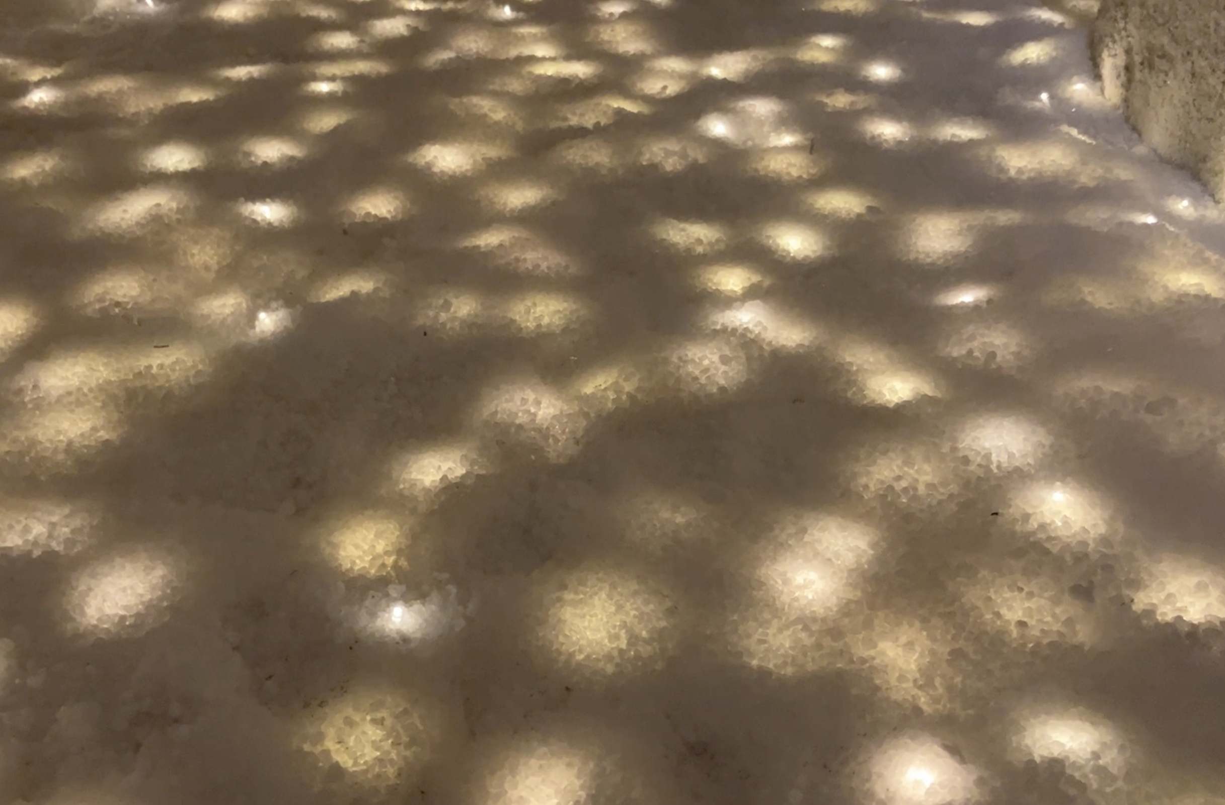 Screenshot 2026-03-24 at 6.52.35 PM.png