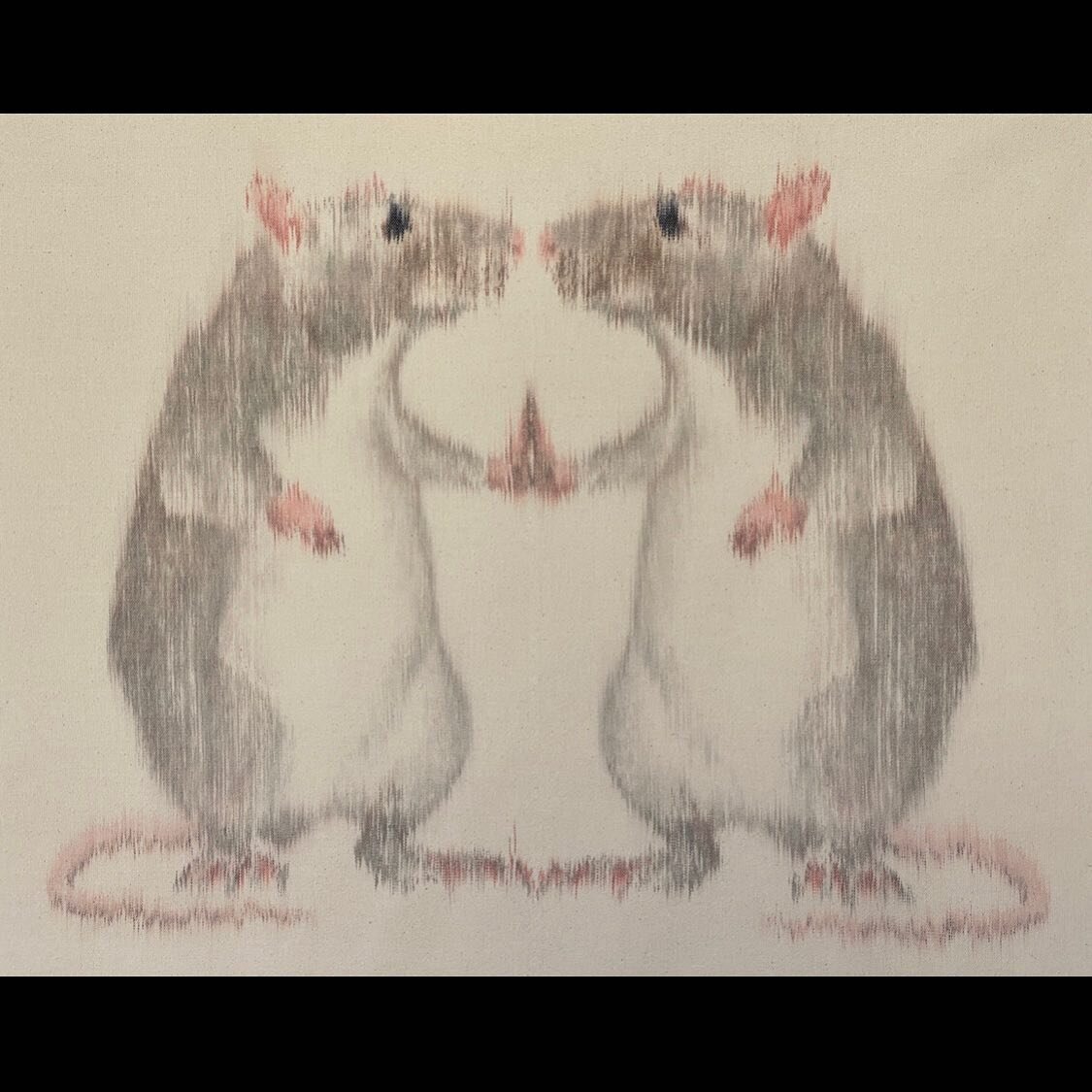 Rats, 2021, 34&rdquo;x31&rdquo;, cotton #paintedwarp, woven in #doubleweave #mirrorimage

Happy Valentines Day! What better way to celebrate then to look up the mating cycle for the Norwegian rat, amiright?!?

I created this piece at the beginning of