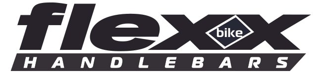 Fasst-Flexx-bike_Flexx.jpg