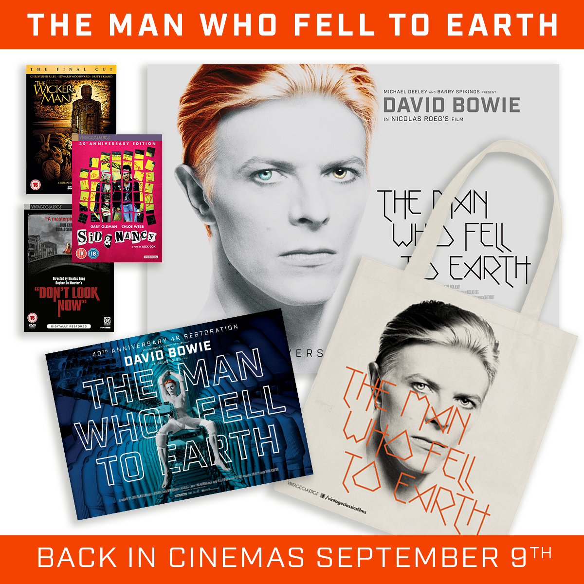 bowieprize.jpg