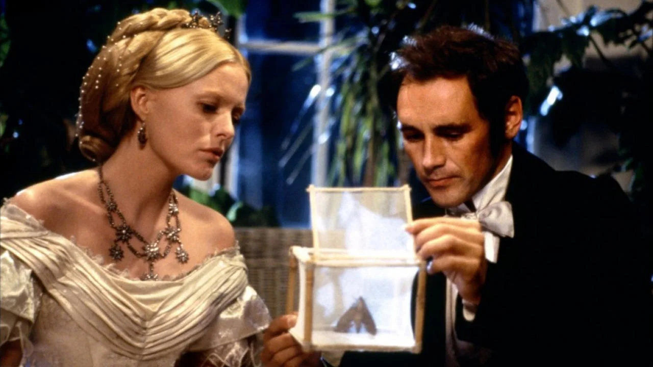 angelasnadinsects.jpg