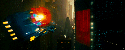 giphy (20).gif