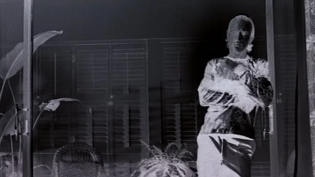 A 'negative colour sequence' from Guadagnino's favourite film, Martin Scorsese's Cape Fear