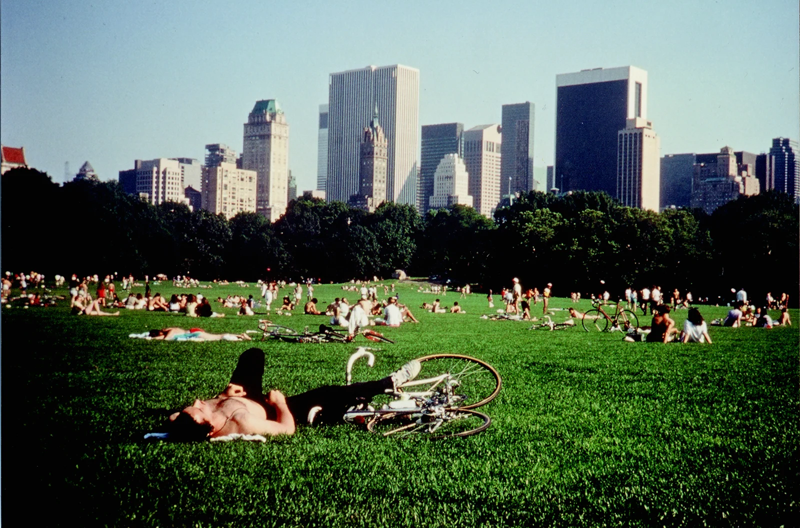 Central Park