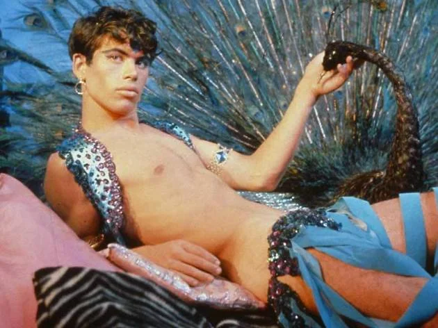 Pink Narcissus (1971)