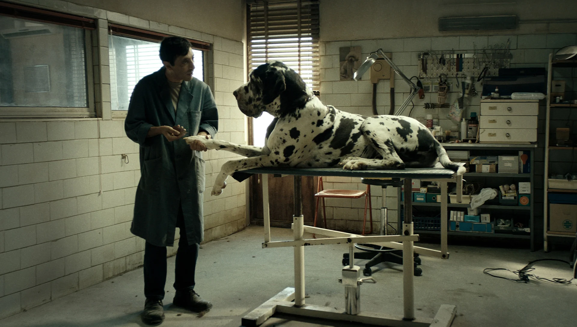 Dogman (2018)