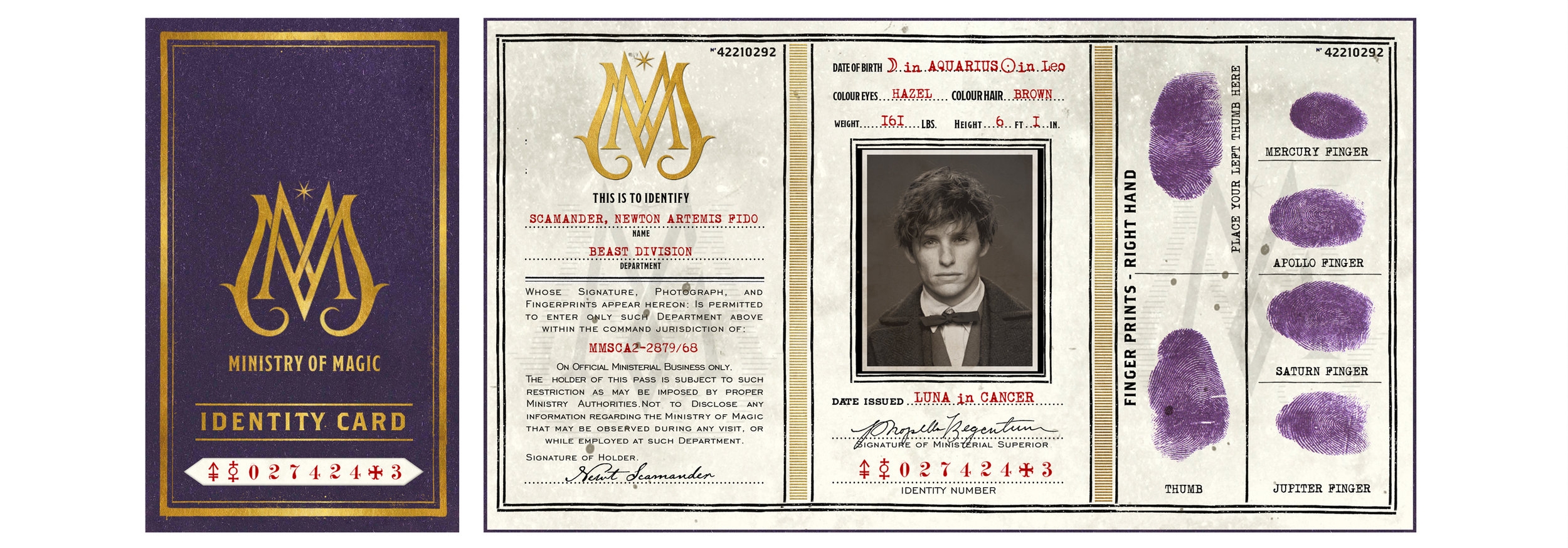 NEWT_SCAMANDER_MINISTRY_OF_MAGIC_ID_CARD_MINALIMA.jpg